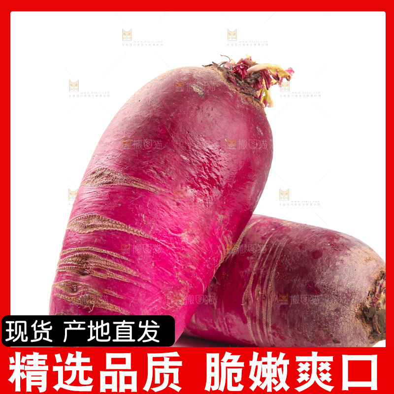 白底上的紫美人萝卜