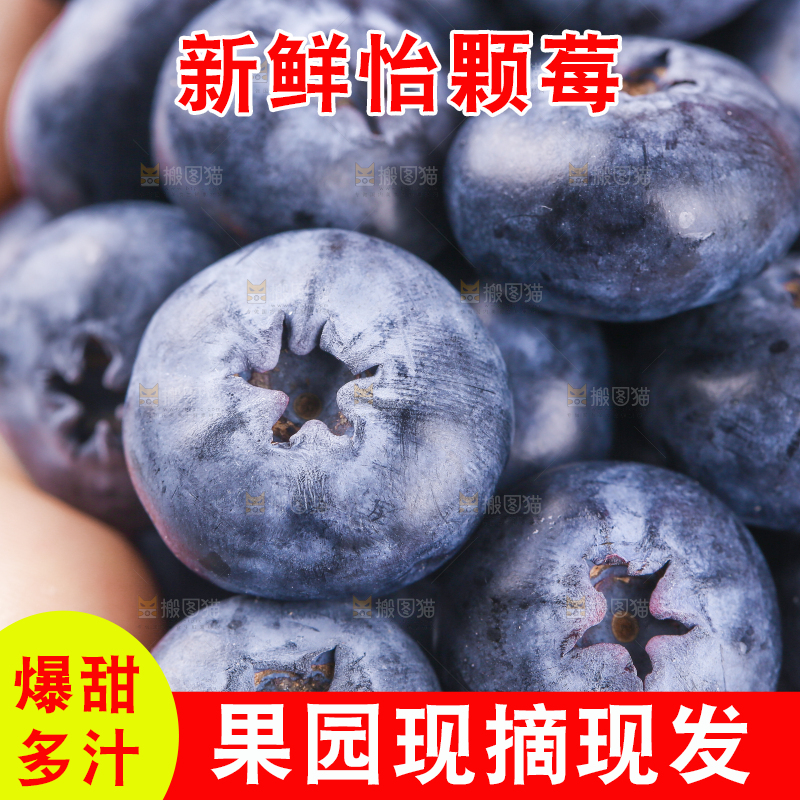 浅底上的怡颗莓