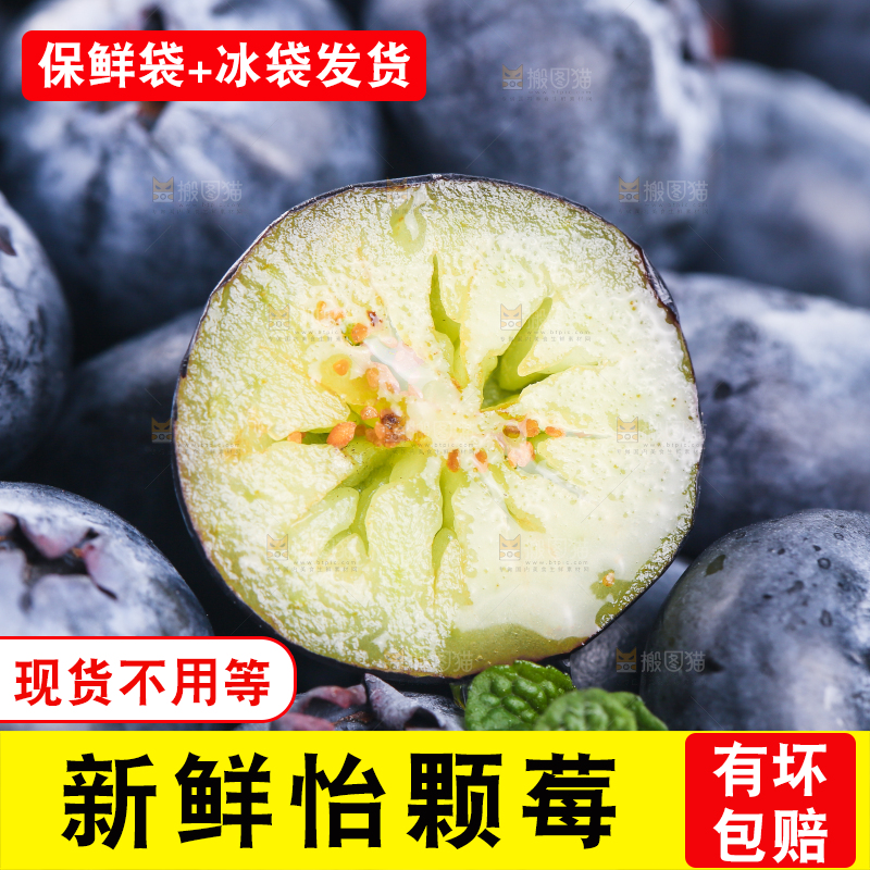 浅底上的怡颗莓