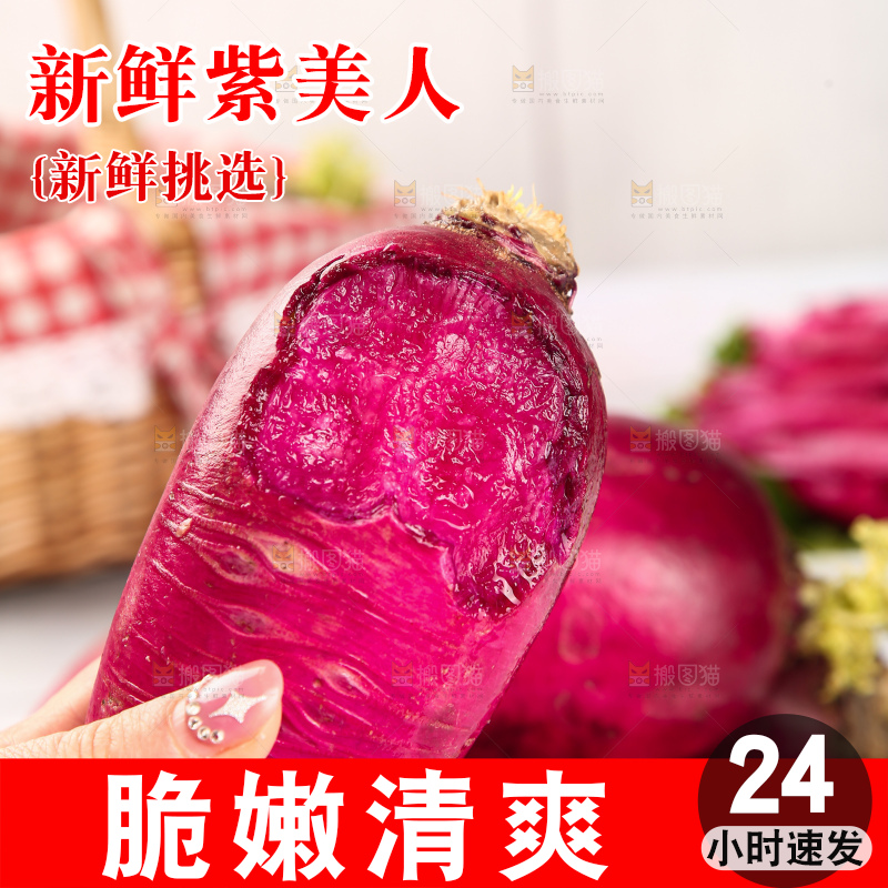 浅底上的紫美人萝卜