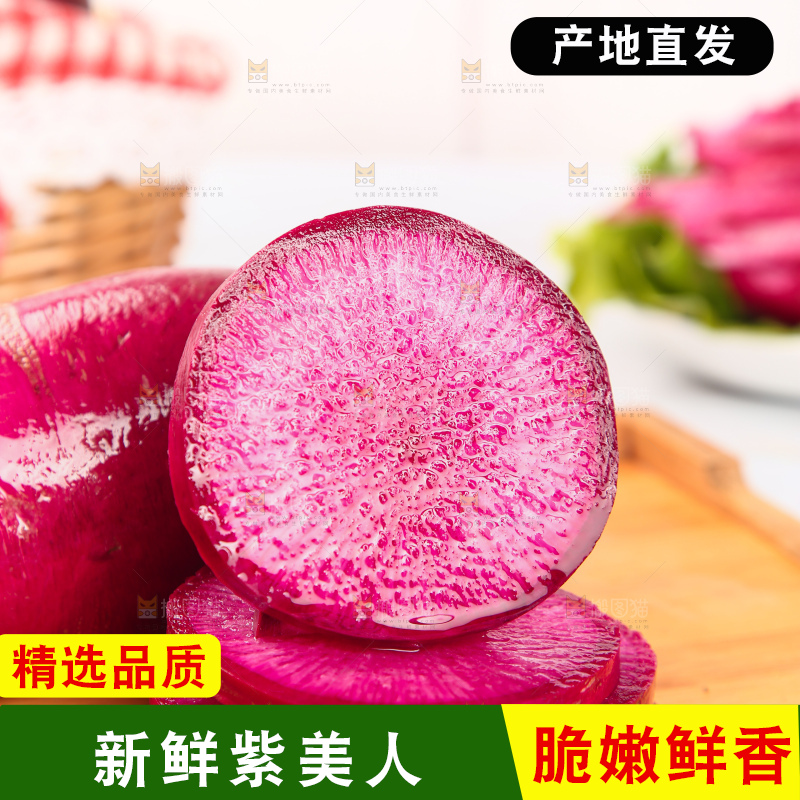 浅底上的紫美人萝卜