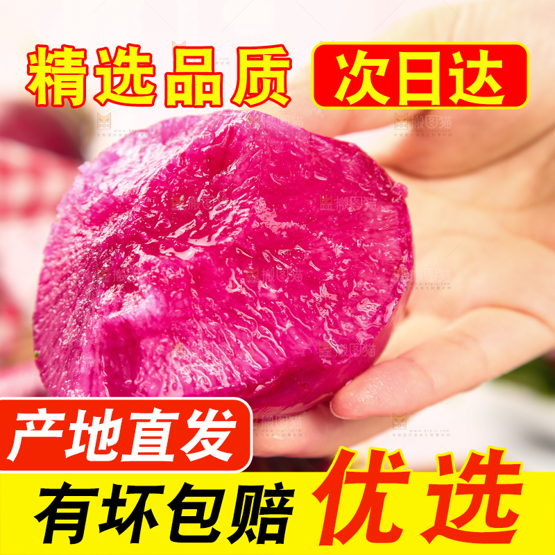 浅底上的紫美人萝卜