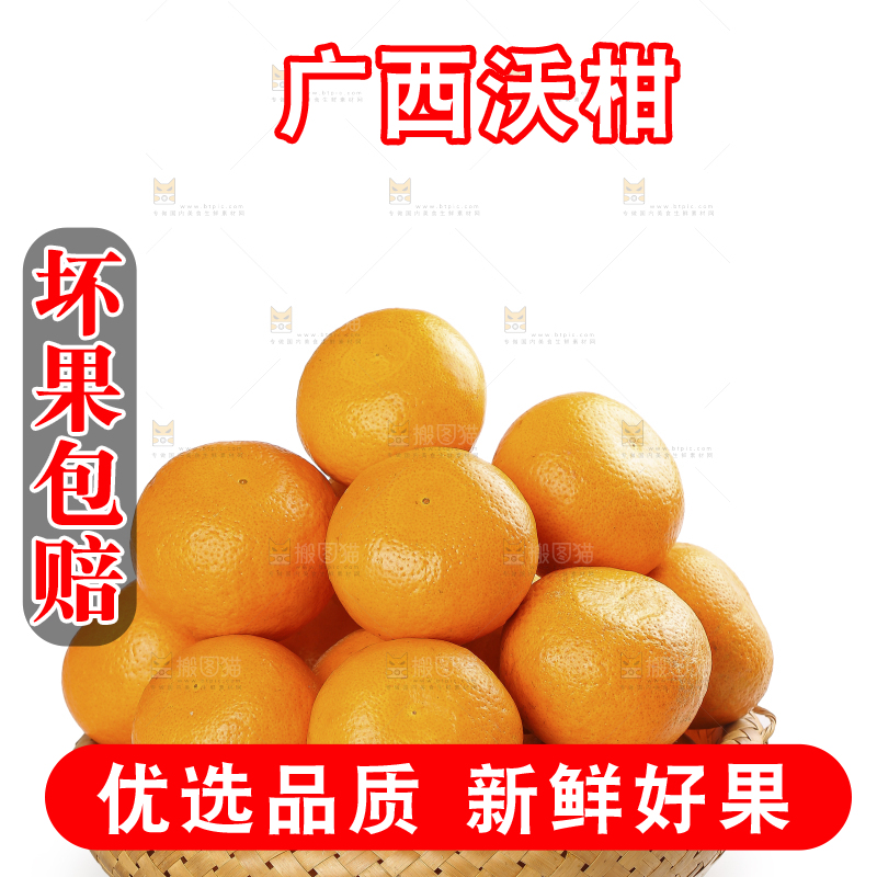 白底上的武鸣沃柑