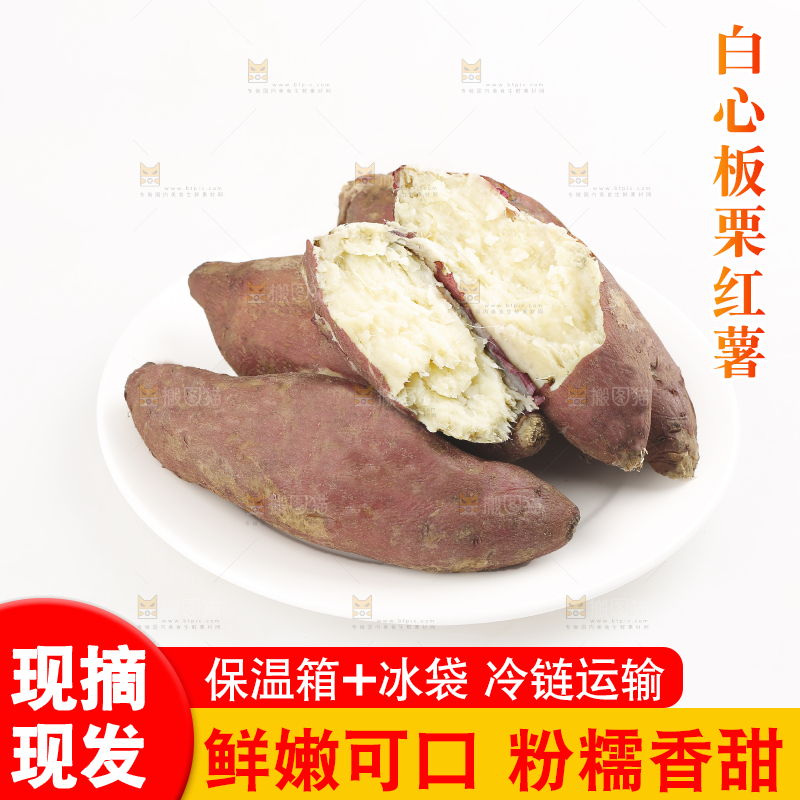 白底上的白心板栗薯