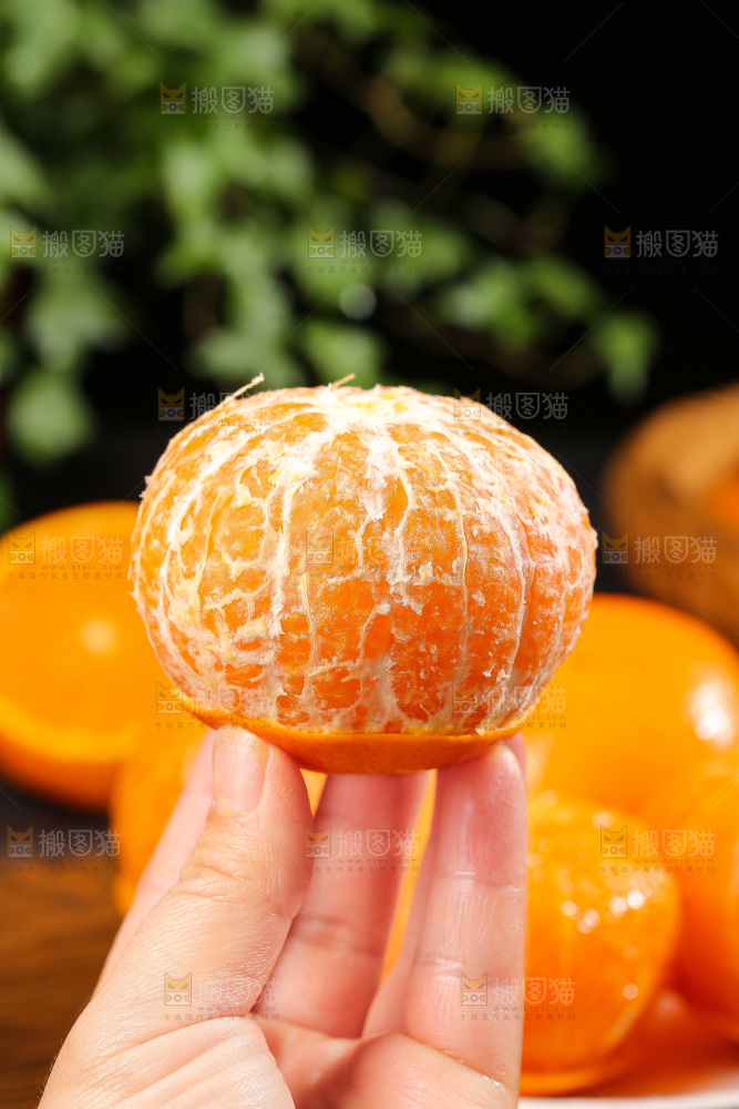 深底上的武鸣沃柑