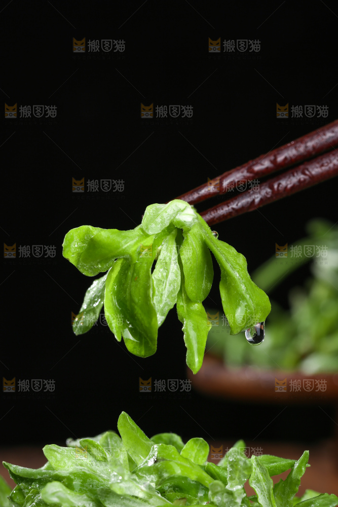 深底上的鼠曲草