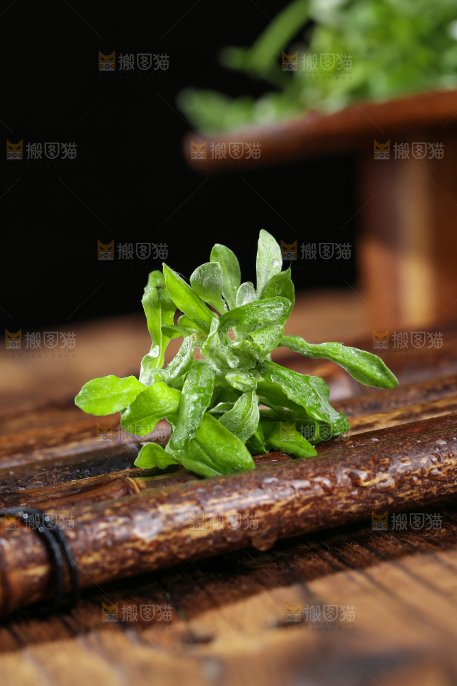 深底上的鼠曲草