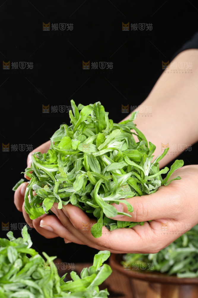 深底上的鼠曲草