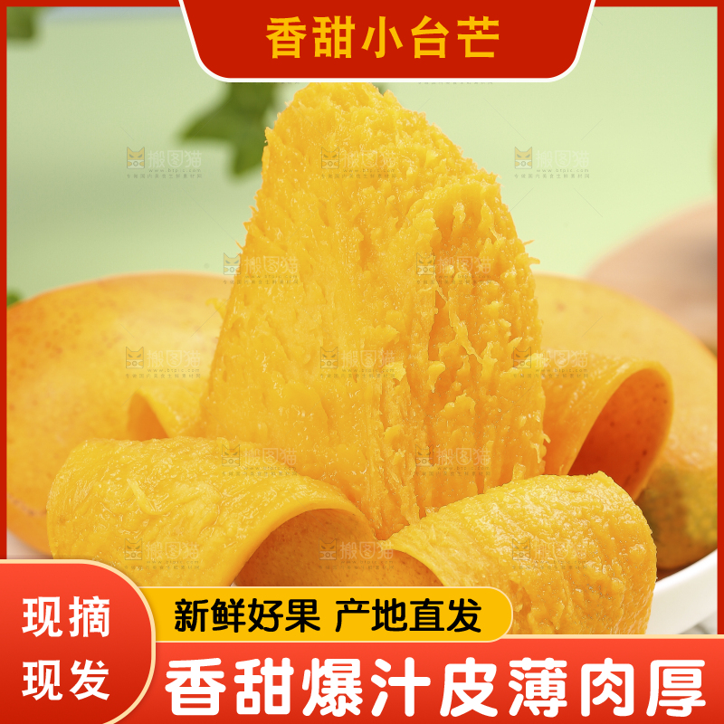 浅底上的小台芒