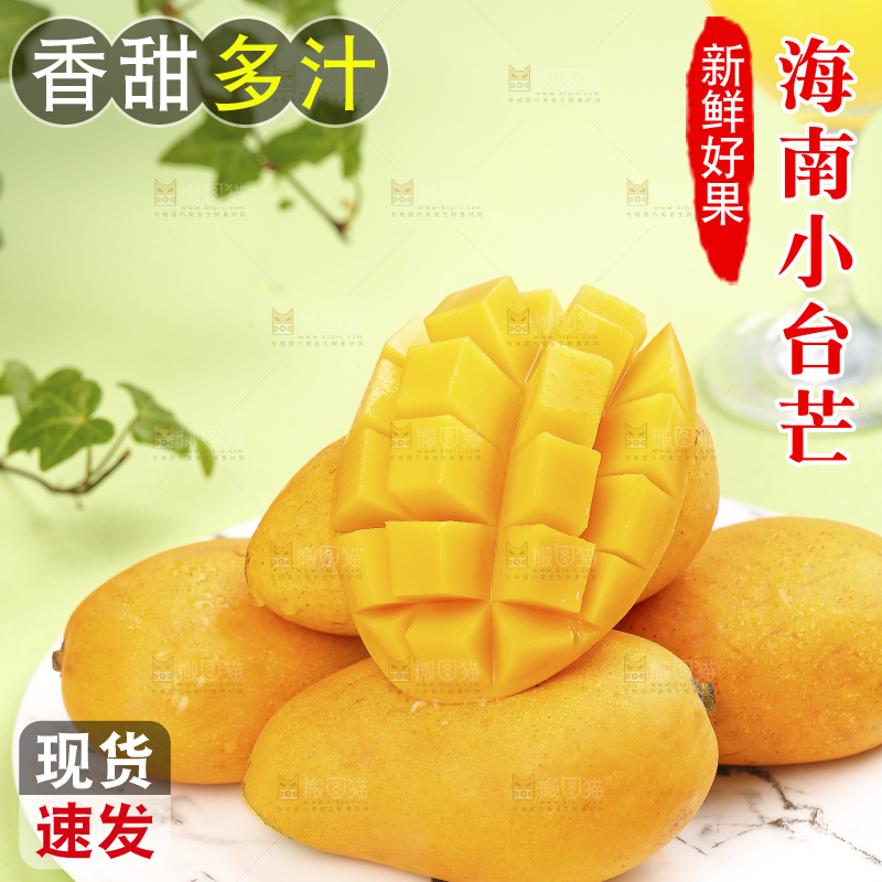 浅底上的小台芒