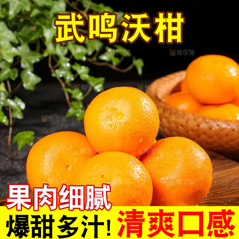 深底上的武鸣沃柑