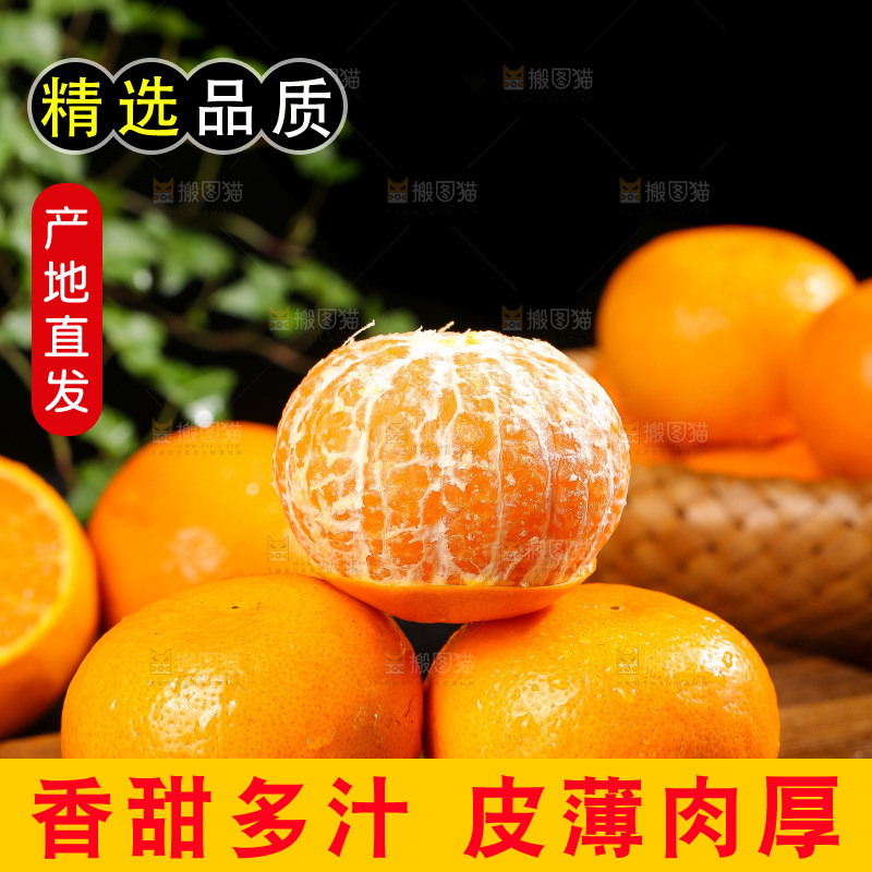 深底上的武鸣沃柑