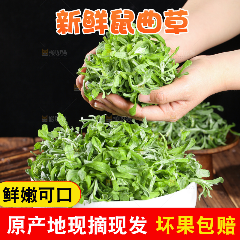 深底上的鼠曲草