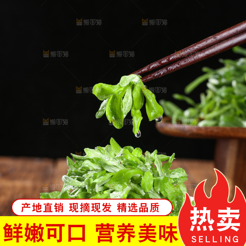 深底上的鼠曲草