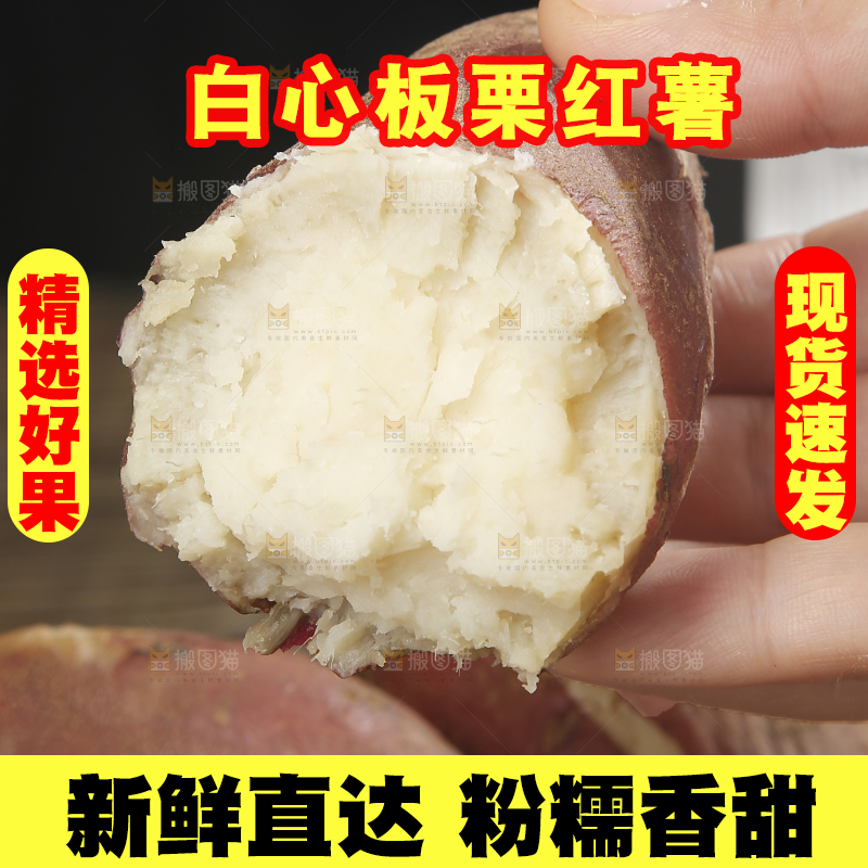 木底上的白心板栗薯