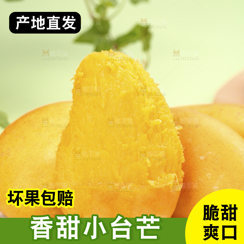 浅底上的小台芒