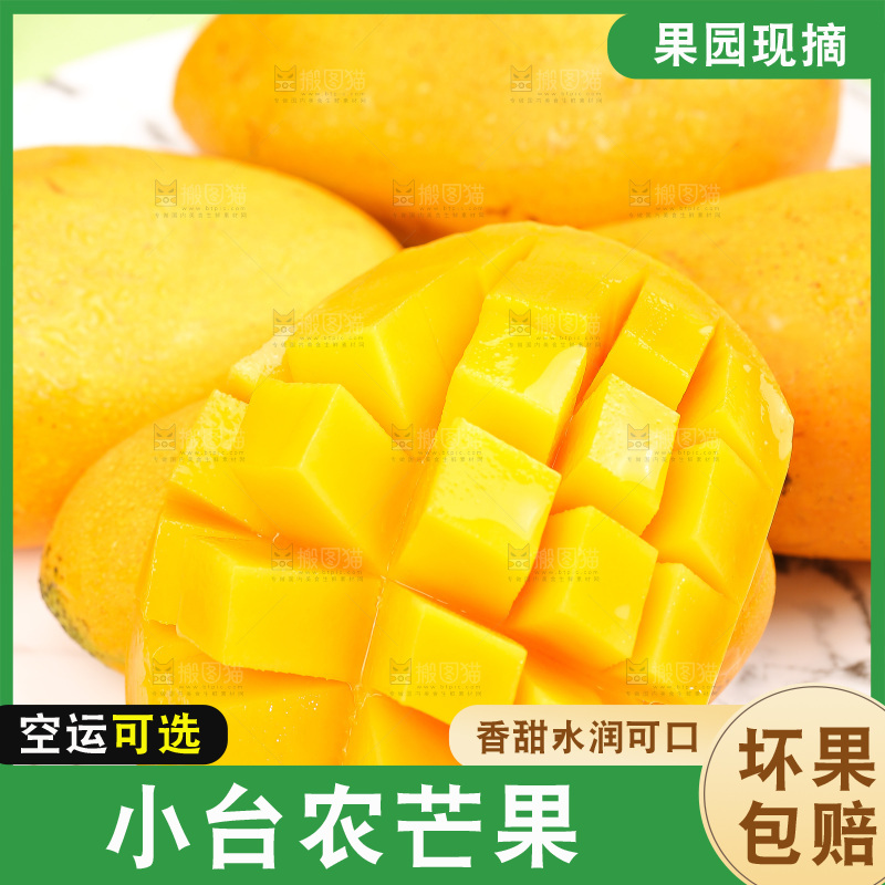 浅底上的小台芒