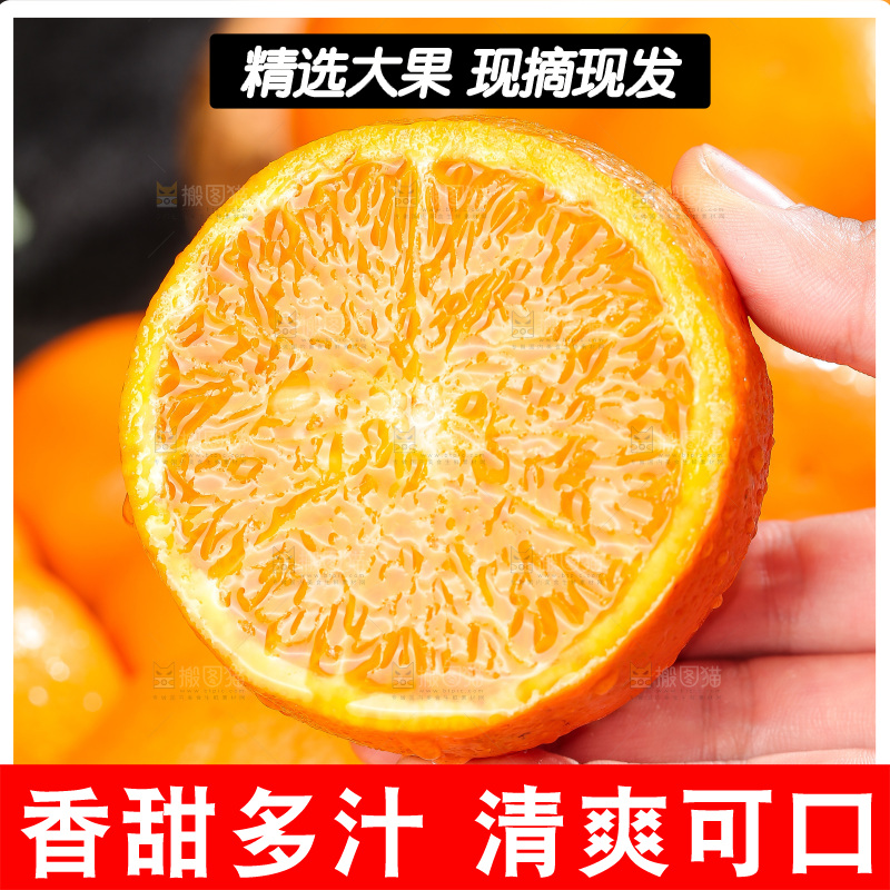深底上的武鸣沃柑