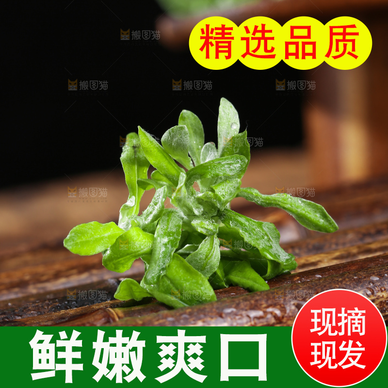深底上的鼠曲草