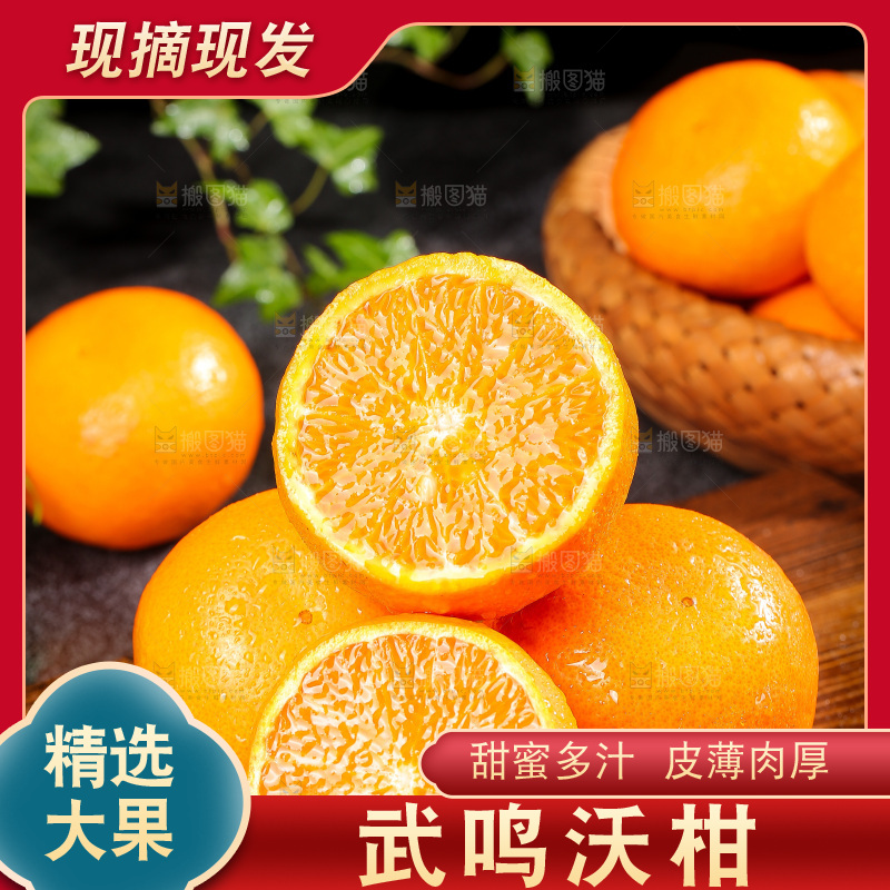 深底上的武鸣沃柑