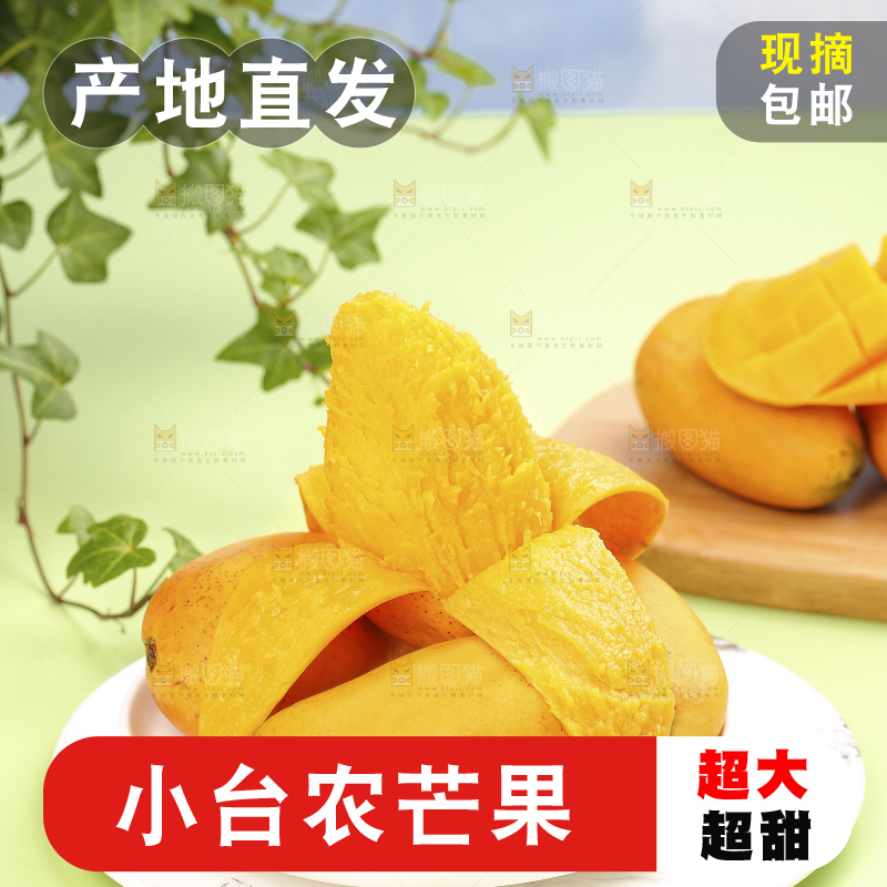 浅底上的小台芒