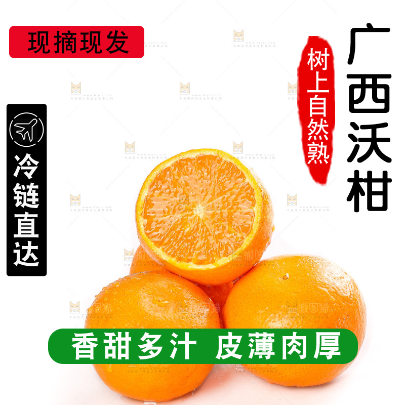 白底上的武鸣沃柑
