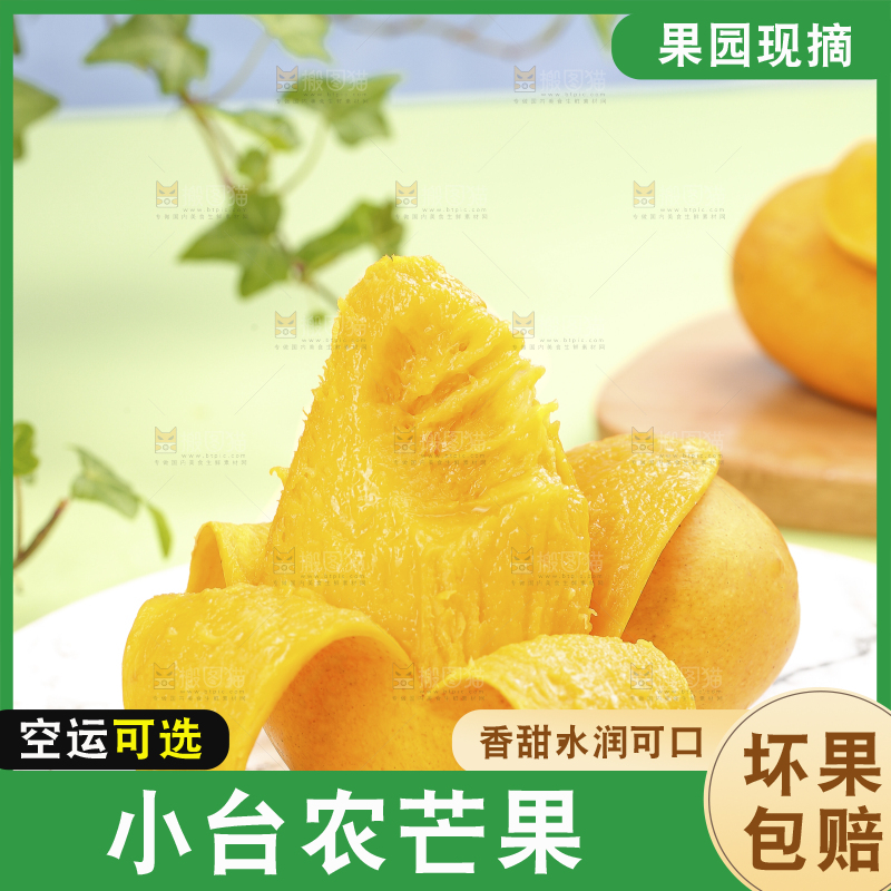 浅底上的小台芒