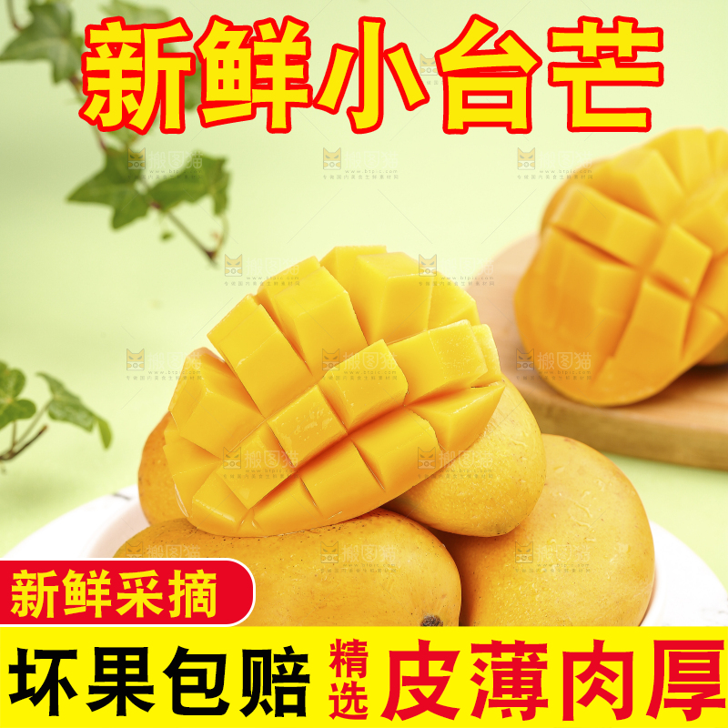 浅底上的小台芒
