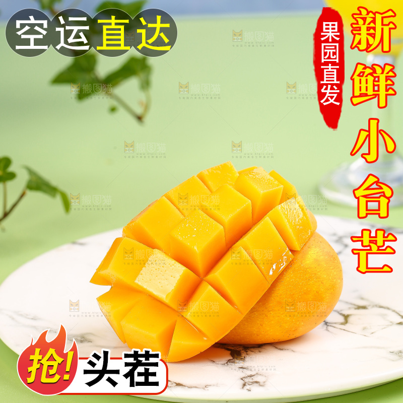 浅底上的小台芒
