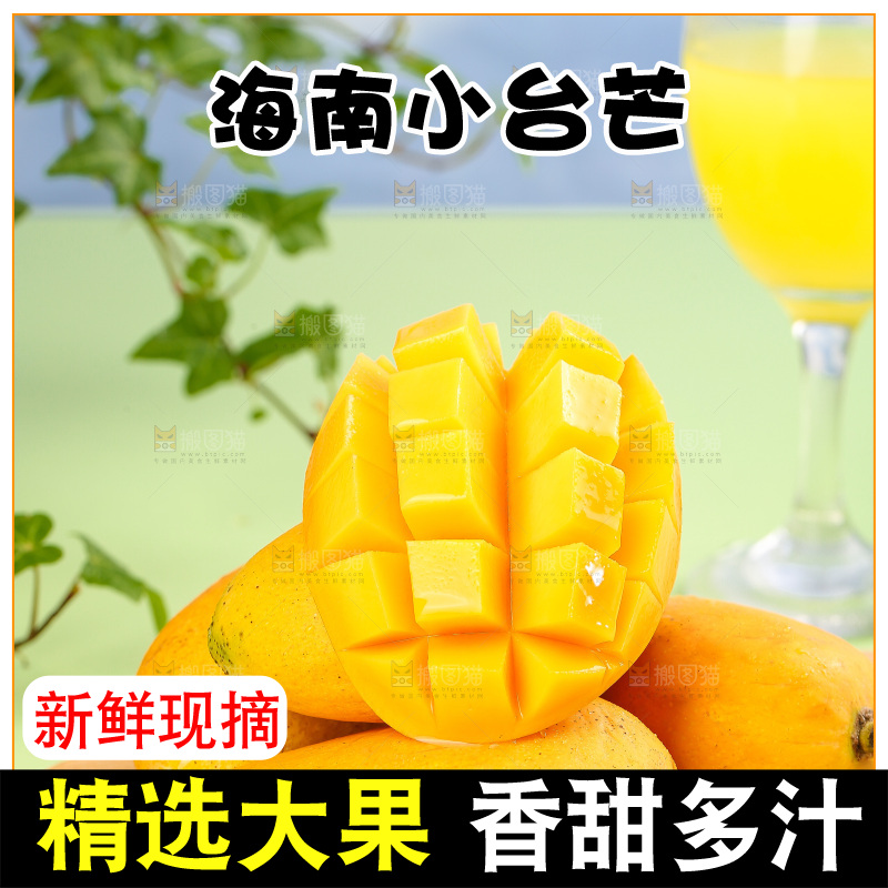 浅底上的小台芒
