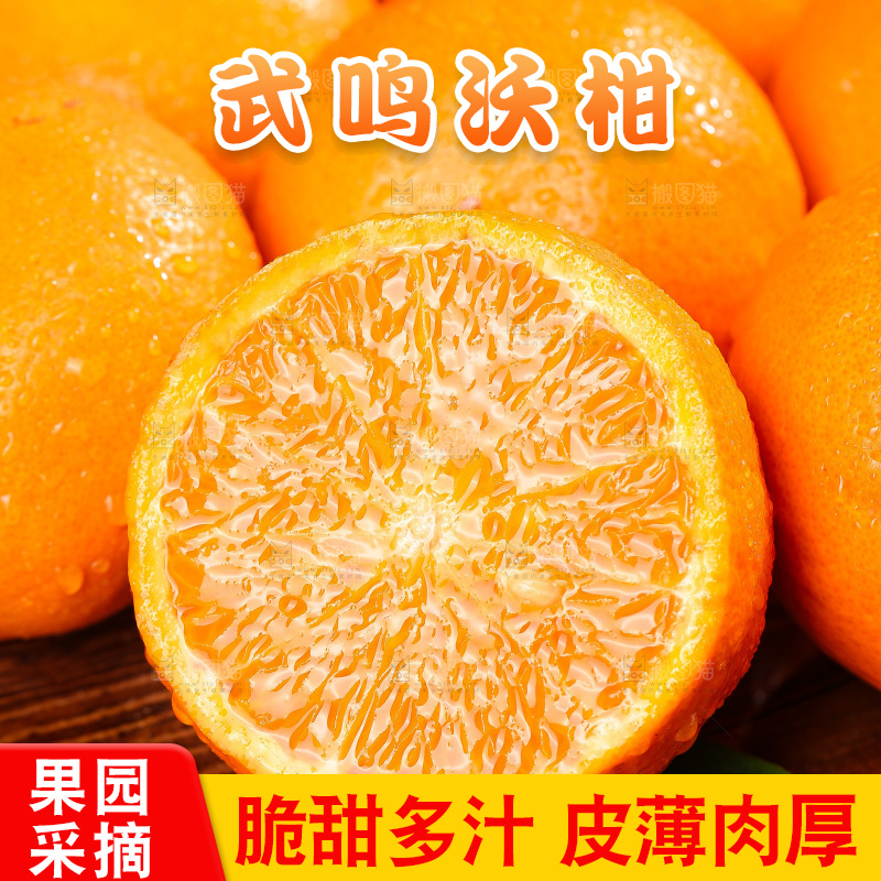 沃柑主图