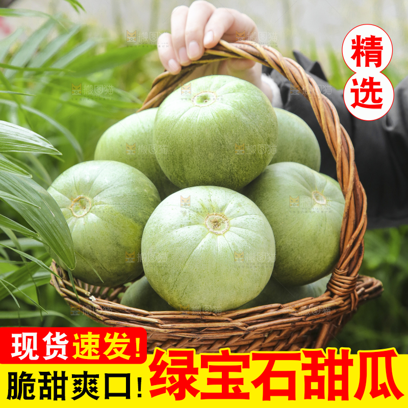 深底上的绿宝甜瓜