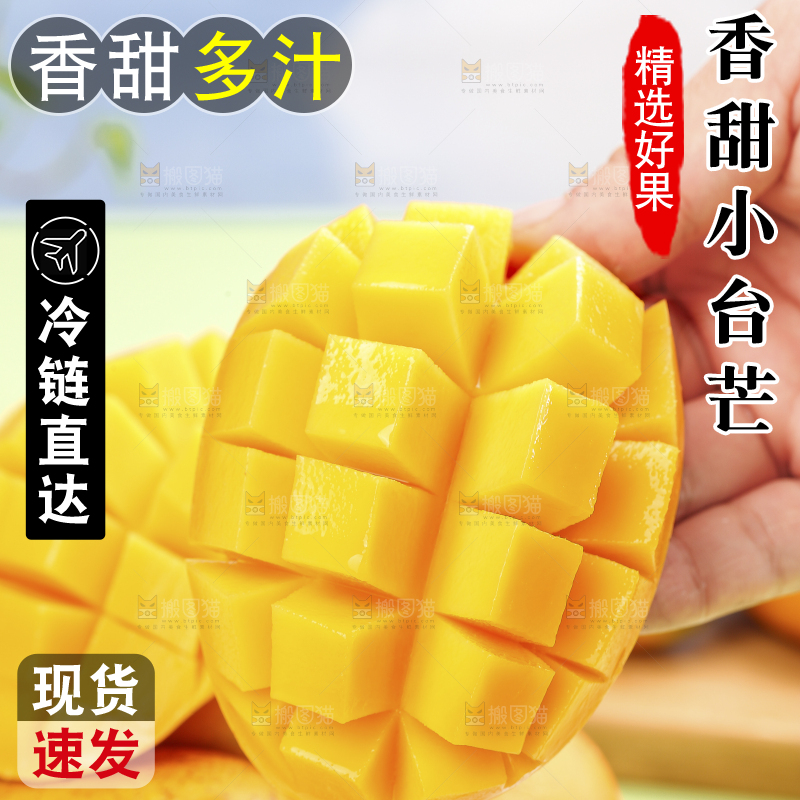 浅底上的小台芒