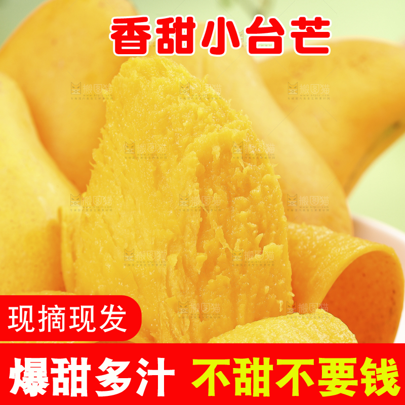 浅底上的小台芒