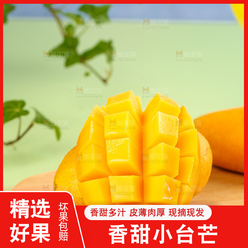 浅底上的小台芒