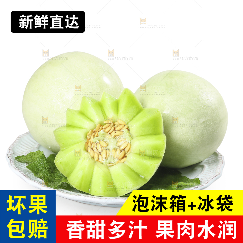 白底上的玉菇甜瓜