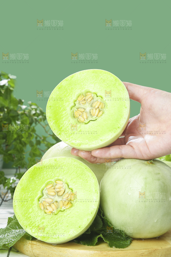 浅底上的玉菇甜瓜