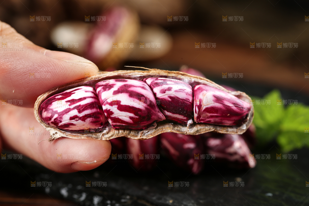 七彩花生
