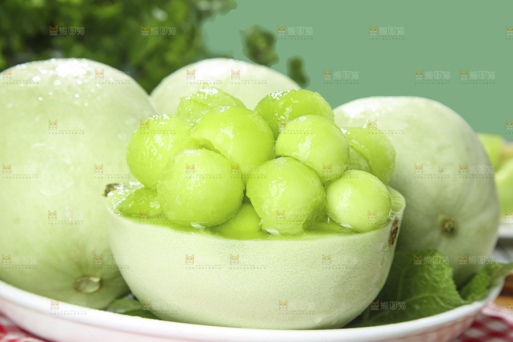 浅底上的玉菇甜瓜