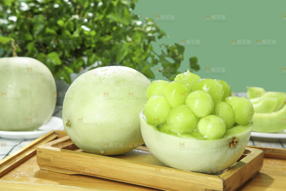 浅底上的玉菇甜瓜