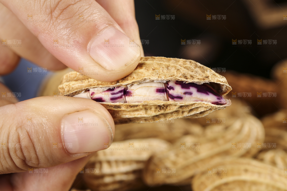 深底上的七彩花生
