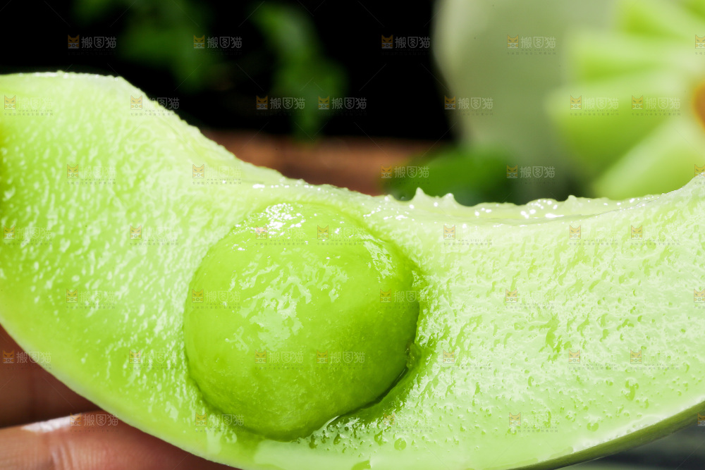 玉菇甜瓜