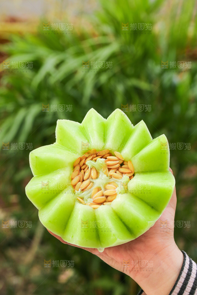 玉菇甜瓜