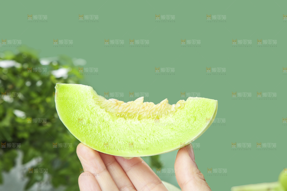 浅底上的玉菇甜瓜