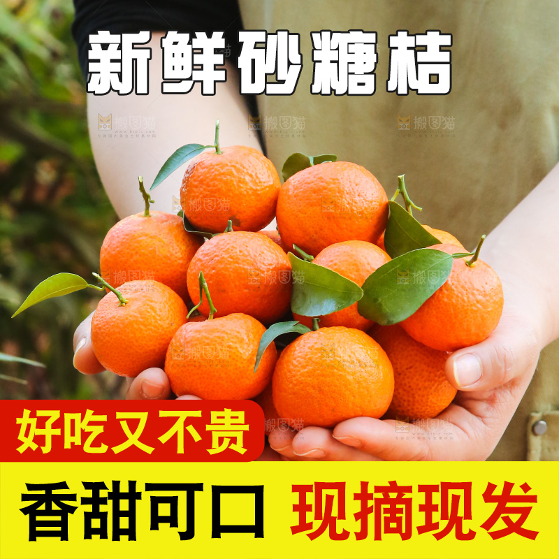 手里拿着沙糖橘