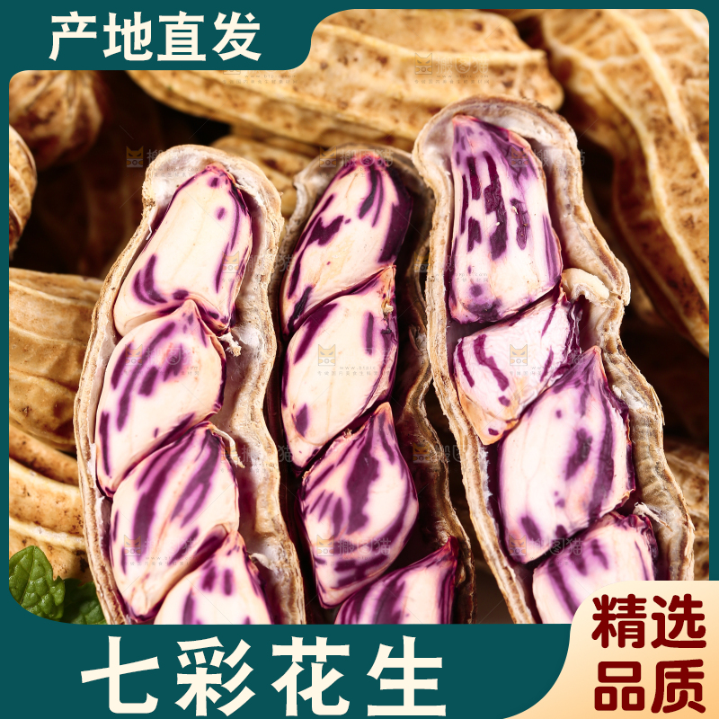 浅底上的七彩花生