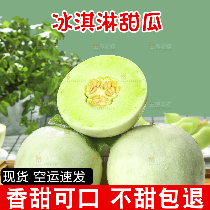 浅底上的玉菇甜瓜