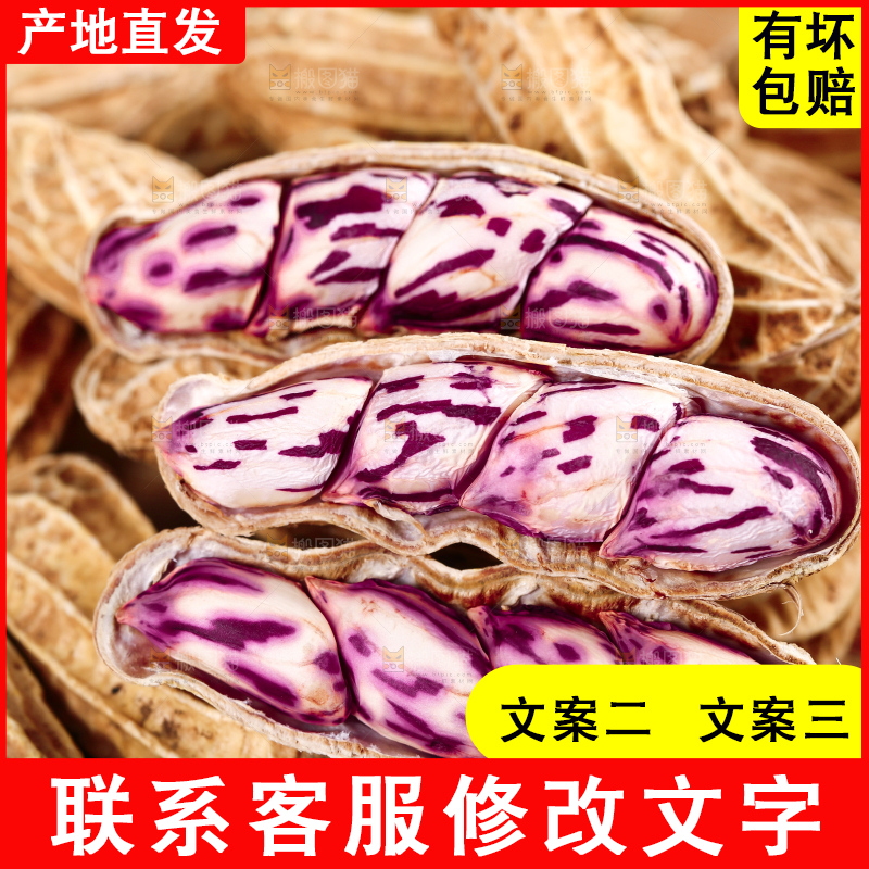 浅底上的七彩花生