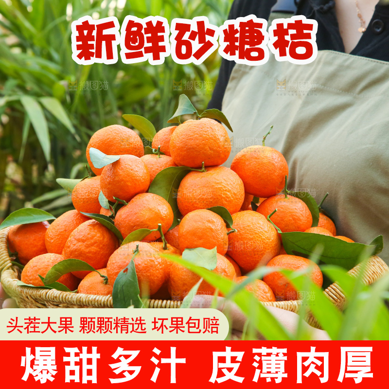 手里拿着沙糖橘