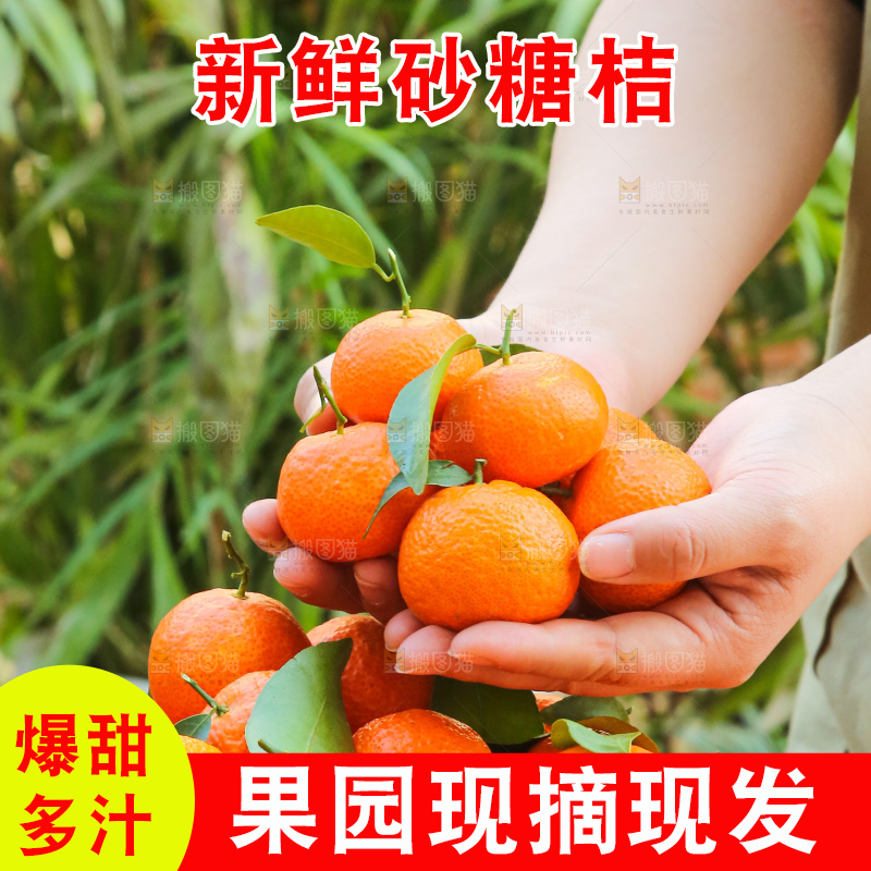 手里拿着沙糖橘